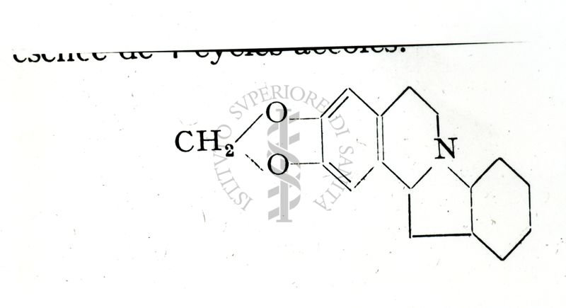 Erythremina