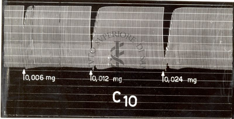 Azione dei curari di sintesi sul muscolo del pollo