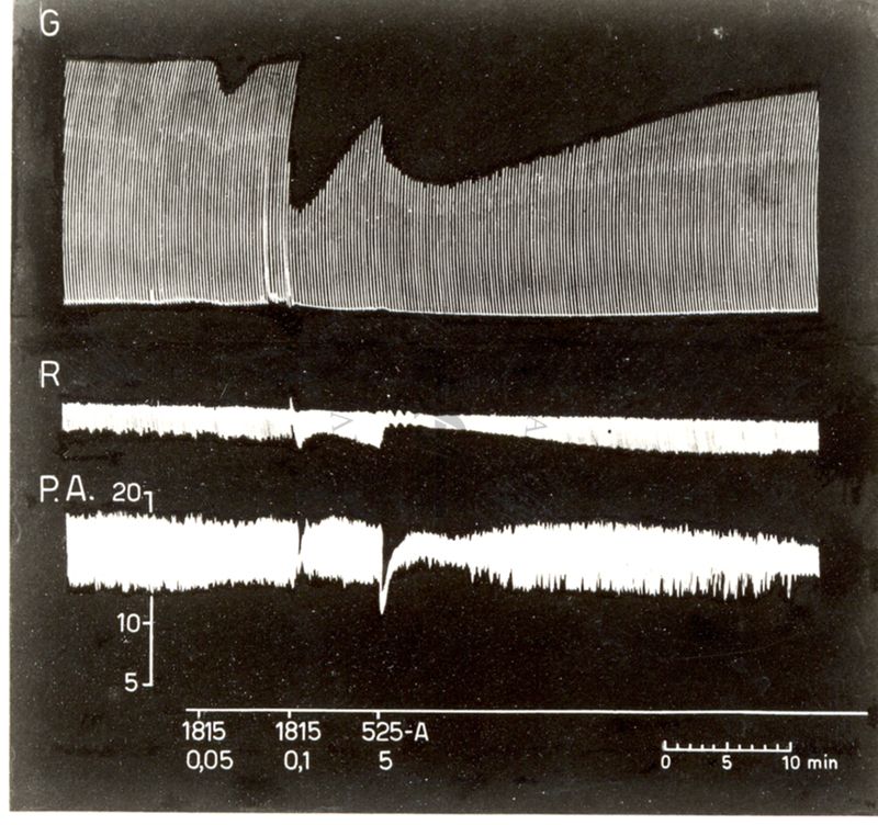 Potenziamento del prodotto S.K.F. 525 A dell'attività curarizzante dei curari di sintesi