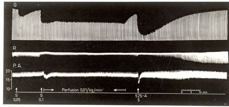 Potenziamento del prodotto S.K.F. 525 A dell'attività curarizzante dei curari di sintesi