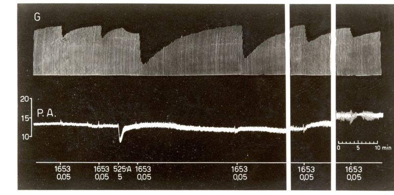 Potenziamento del prodotto S.K.F. 525 A dell'attività curarizzante dei curari di sintesi