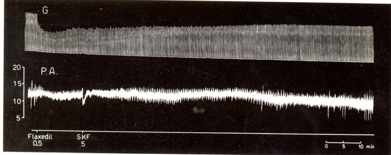 Potenziamento del prodotto S.K.F. 525 A dell'attività curarizzante dei curari di sintesi