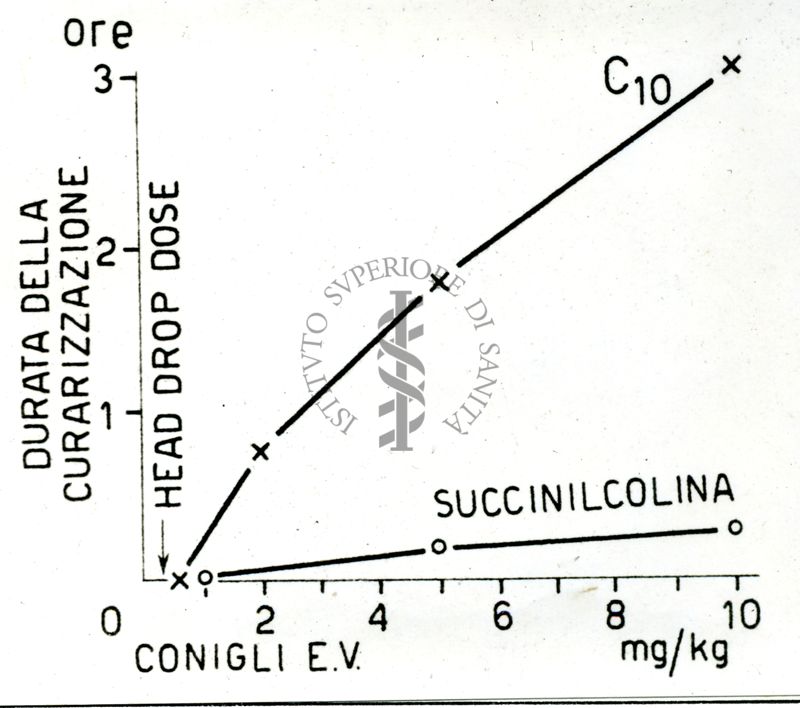 Succinilcolina e diioduro di decametilene- bis- trimetilammonio (C.10). Rapporto fra la dose di curaro e la durata della curarizzazione nel coniglio in respirazione artificiale
