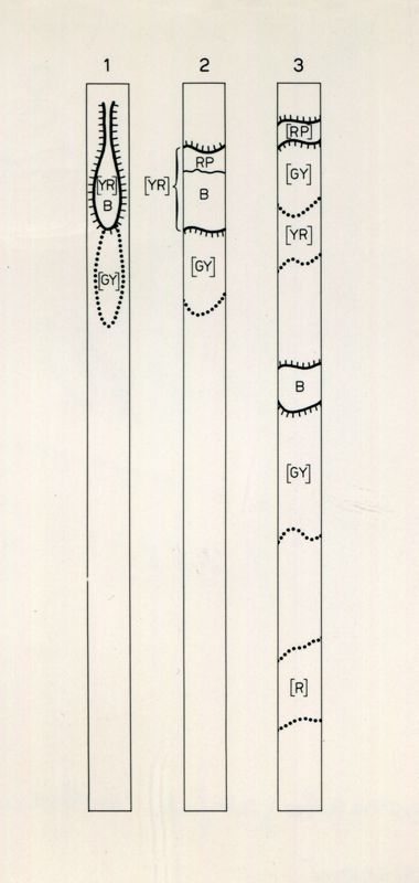 Cromatografia solventi acquosi