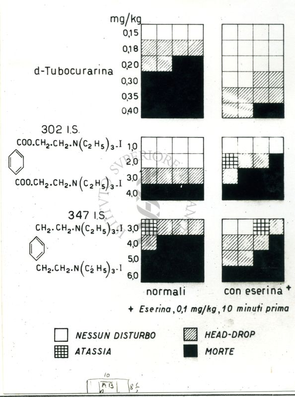 Antagonismo eserina - azione curarizzante sul coniglio