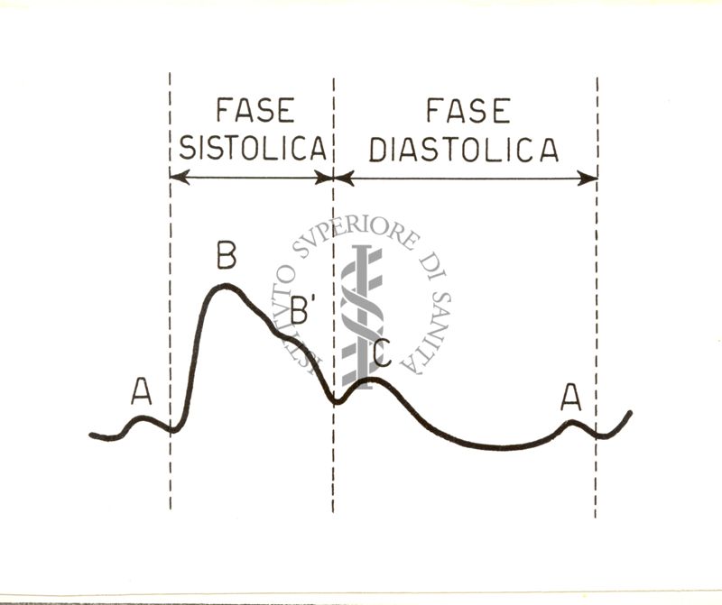 Grafico del polso arterioso dell'uomo