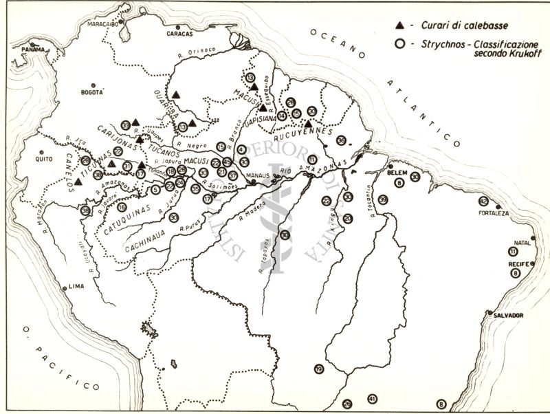 Distribuzione specie Strychnos e calebasse