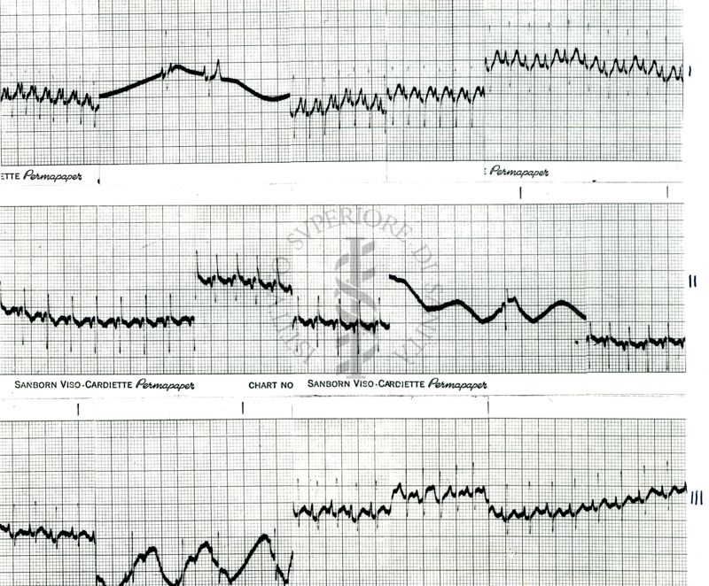 Farmaci antisineptici - coniglio - elettrocardiogramma s.l. farmaco