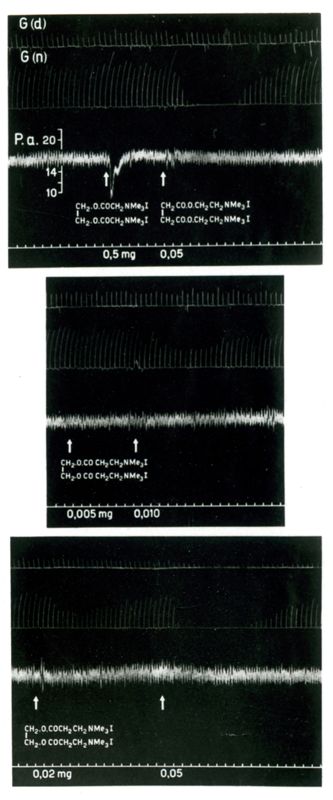 Tre tracciati che mostrano l'azione sul cane dei Curari di sintesi derivati della succinilcolina