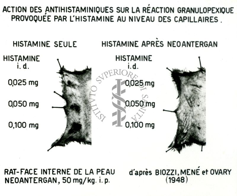 Azione degli antistaminici sulla reazione granulopessica provocata dall'istamina al livello dei capillari