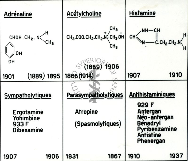Antistaminici - Rivista generale. Rapporti con ormoni del sistema nervoso vegetativo