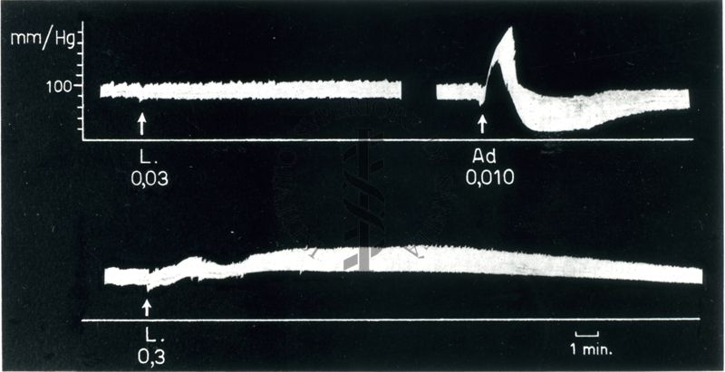 Grafici sul veleno della Vedova Nera