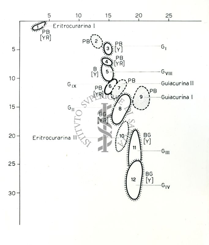 Cromatografia bidimensionale alcaloidi S. Guianensis