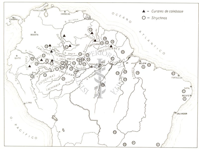 Carta di distribuzione dei curari e delle Strychnos nell'America Meridionale