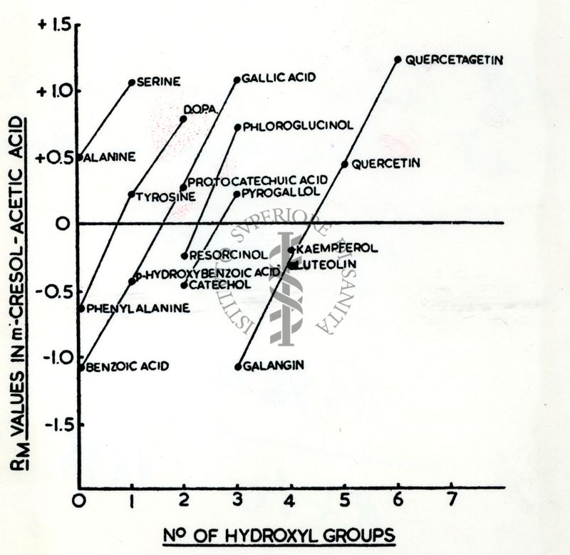 Immagine tratta dal libro "Biochimica e Biophysica Acta"