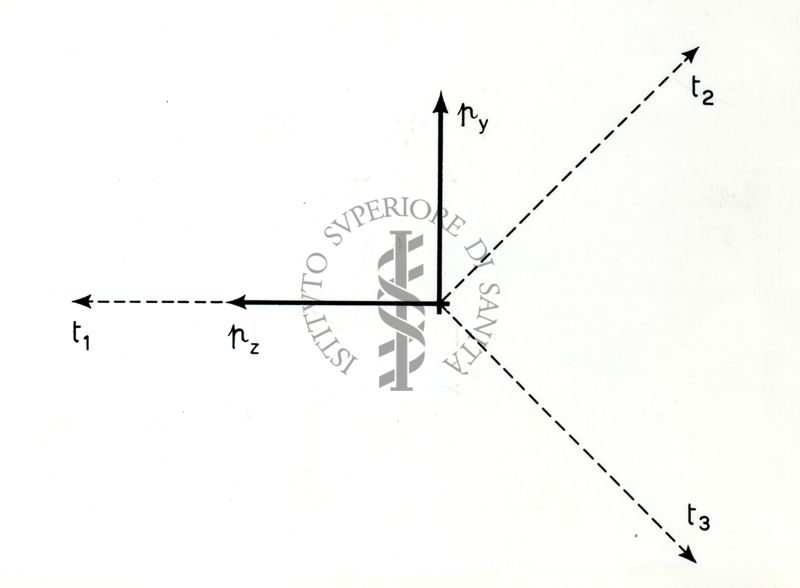 Strutture dei composti carbonilici con Hg Cl2 e Cd Cl2