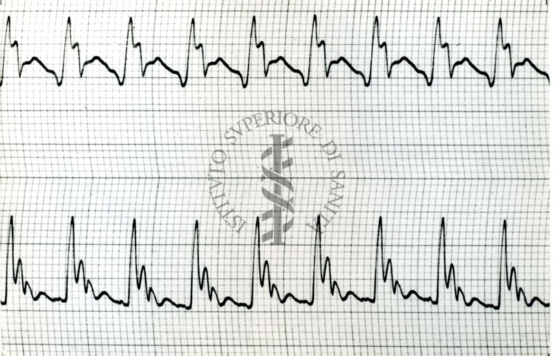 Sfigmogrammi del polso centrale del cane