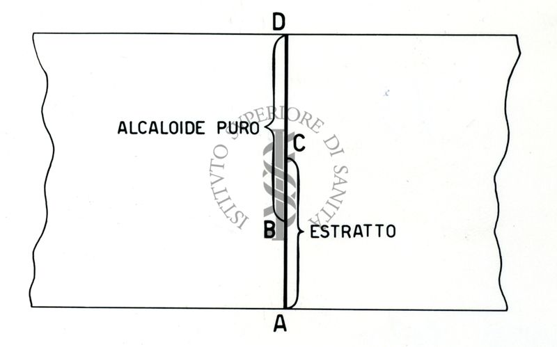 Schemi dei lavori degli estratti alcaloidi