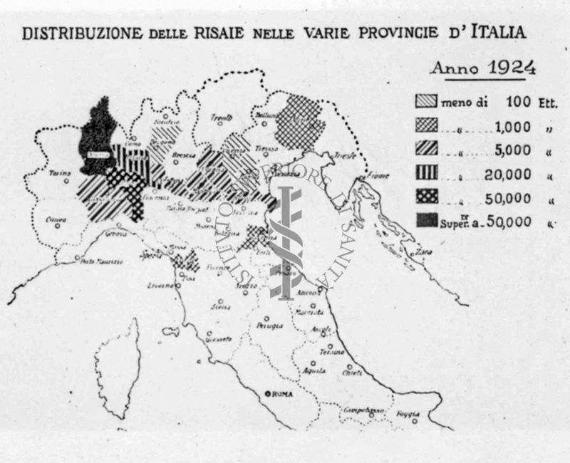 Cartogramma riguardante la distribuzione delle risaie nelle varie provincie d'Italia