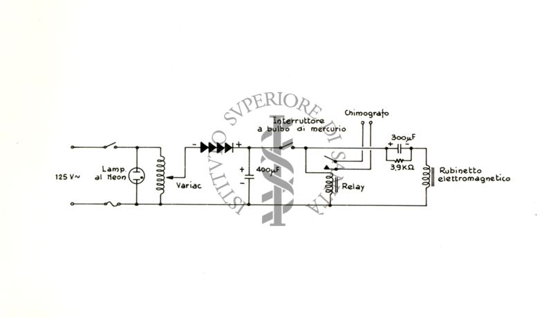 Schema di un interruttore per Skinner - box