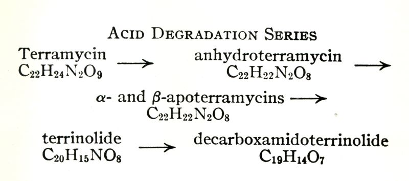 The structure of Terramycin - dal "Journal of the American Chemical Society" vol. 75 - novembre 1953