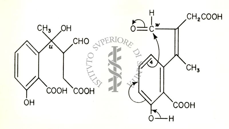 The structure of Terramycin