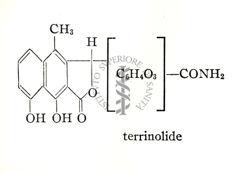 The structure of Terramycin