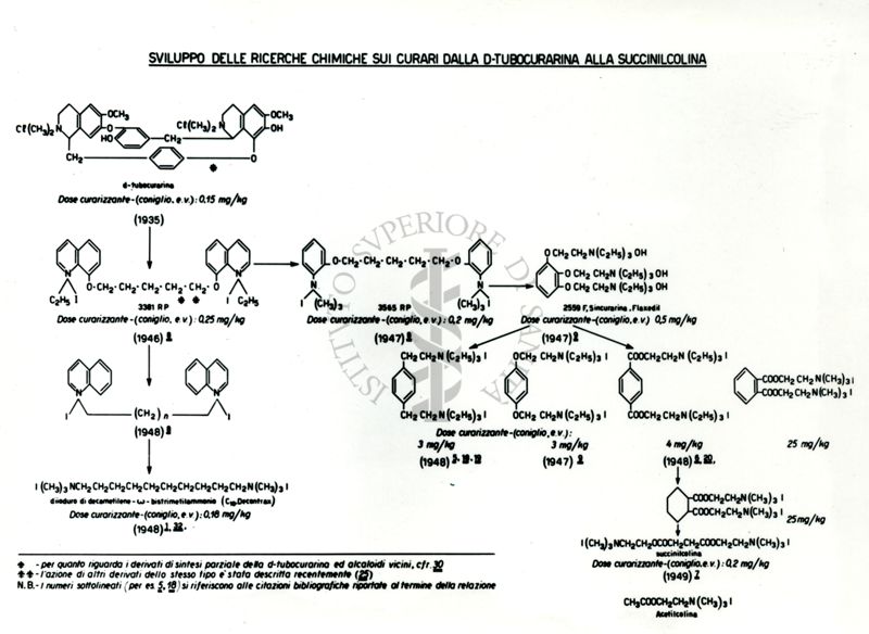 Sviluppo delle ricerche chimiche sui curari dalla D - Tubocurarina alla Succinilcolina