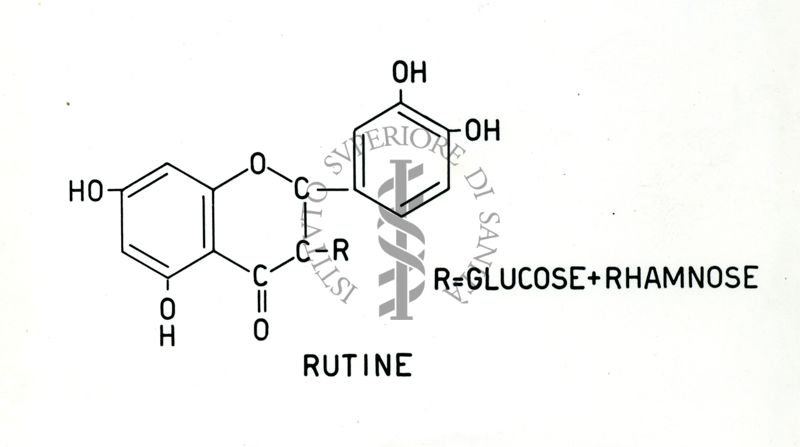 Formula della rutina