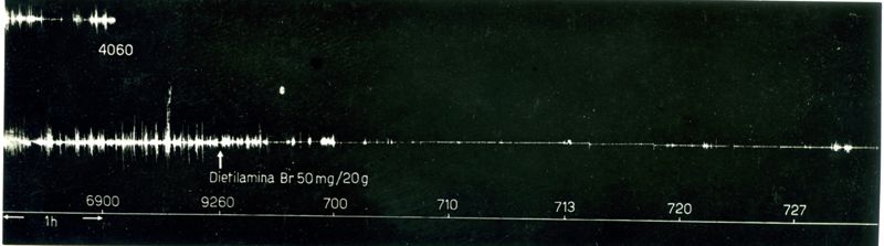 Tracciato dell'attività spontanea del topo