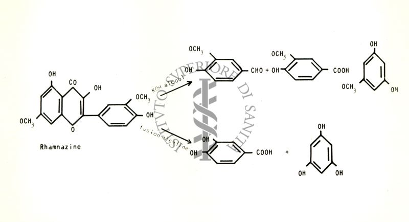 Chimica delle autoxantine