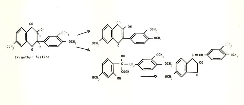 Chimica delle autoxantine