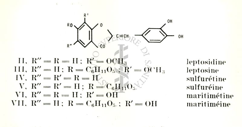 Chimica delle autoxantine