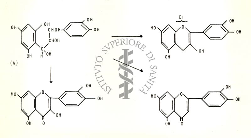 Chimica delle autoxantine