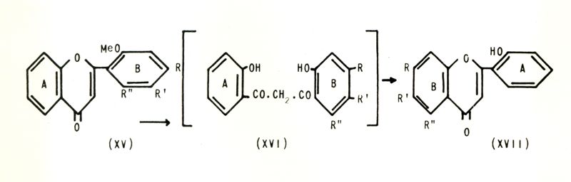 Chimica delle autoxantine