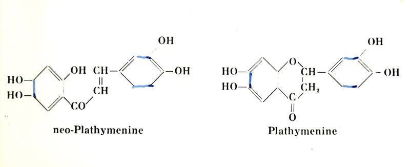 Chimica delle autoxantine