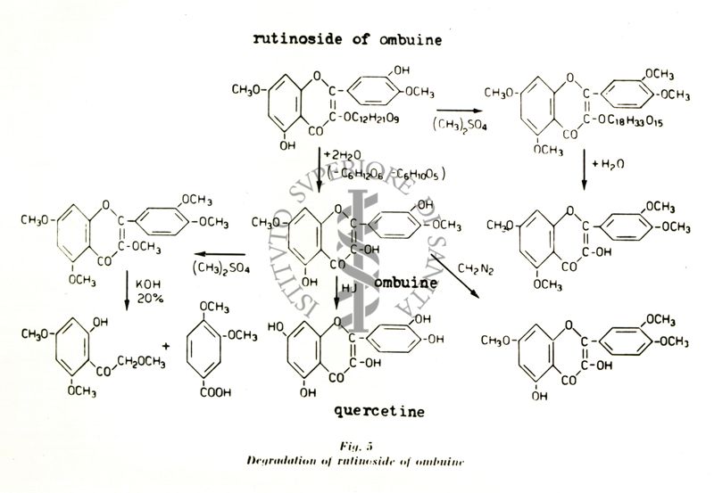 Chimica delle autoxantine