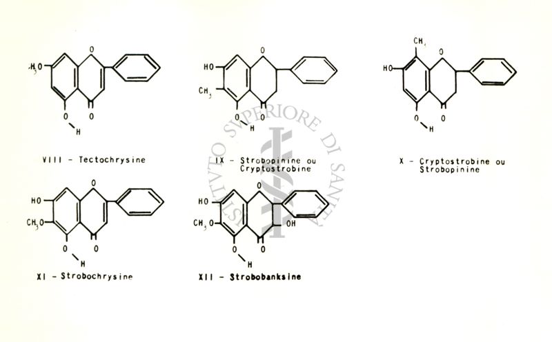 Chimica delle autoxantine