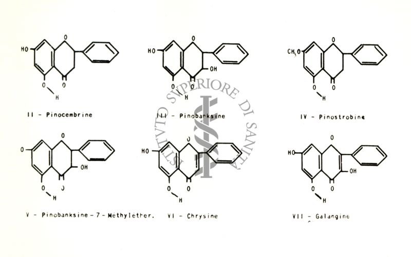 Chimica delle autoxantine