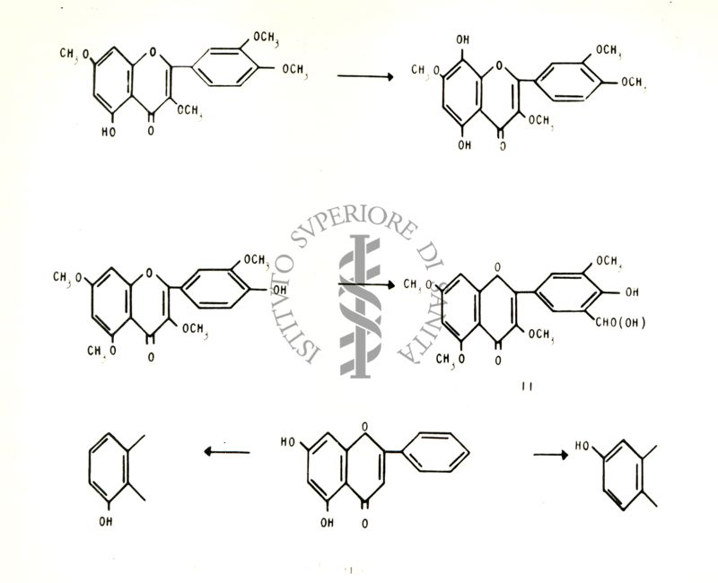 Chimica delle autoxantine