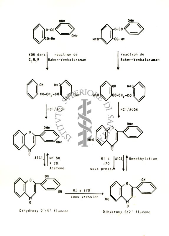 Chimica delle autoxantine