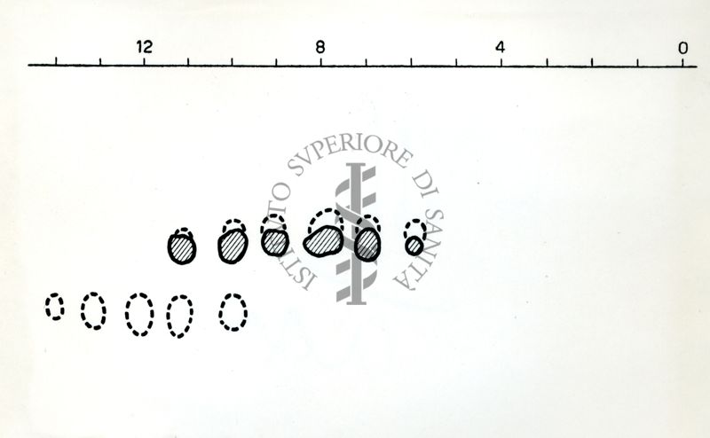 Cromatografia alcaloidi Strychnos