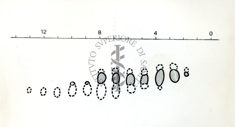 Cromatografia alcaloidi Strychnos