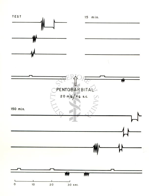 Pentobarbital