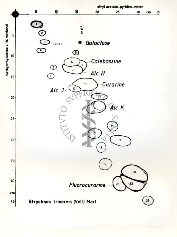 Cromatografia di sostanze naturali