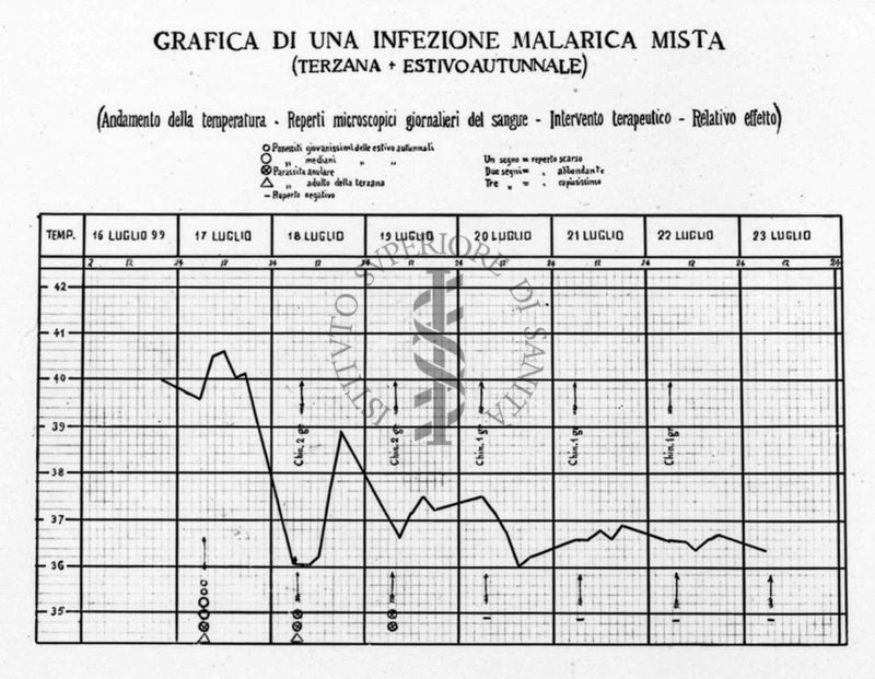 Grafico riguardante un'infezione malarica mista (terzana estivo autunnale)