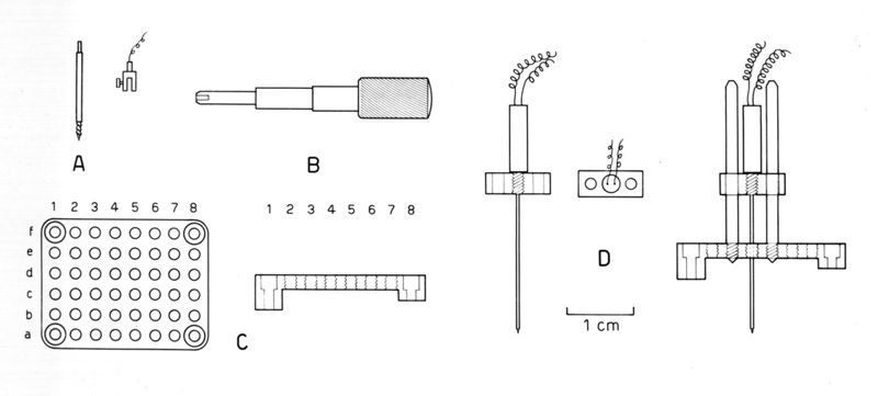 Strumenti di registrazione dell'elettroencefalogramma di coniglio