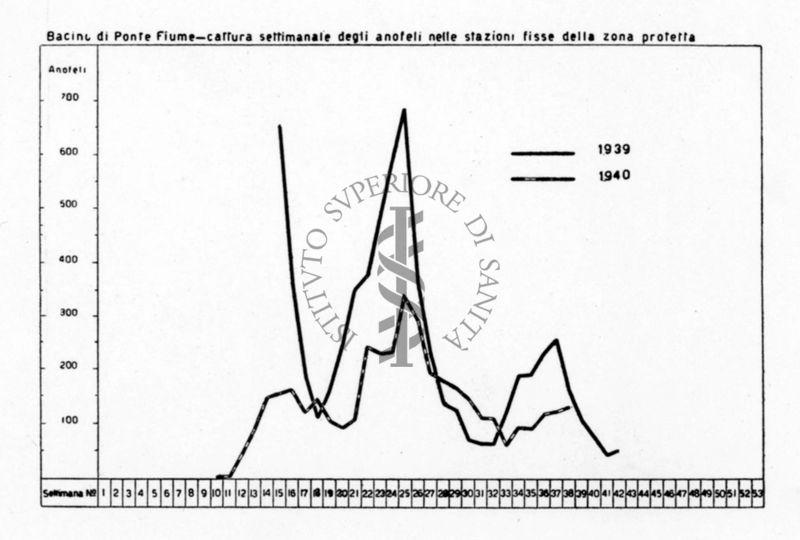 Diagramma riguardante la cattura settimanale delle anofeli nei bacini di Ponte Fiume