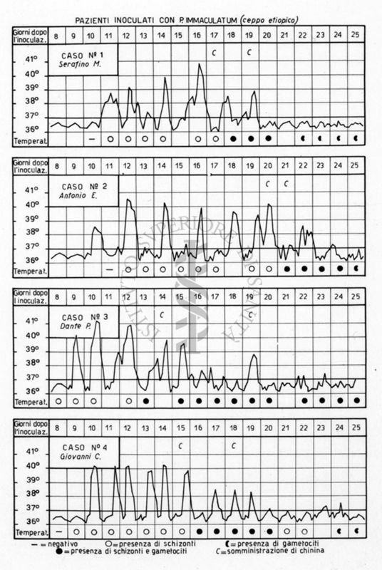 Diagramma riguardante i pazienti inoculati con P. Immaculatum (ceppo etiopico)