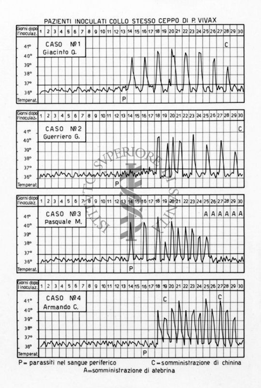 Diagramma riguardante i pazienti inoculati con lo stesso ceppo di P. Vivax